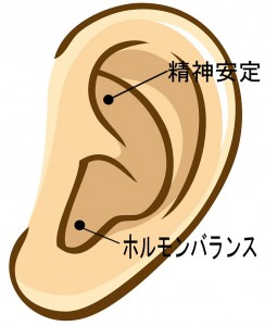 耳のツボ