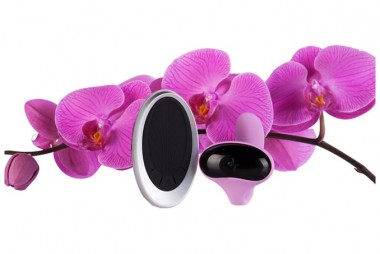 Lana＋ （Purple）