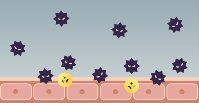 デリケートゾーンを洗いすぎると③