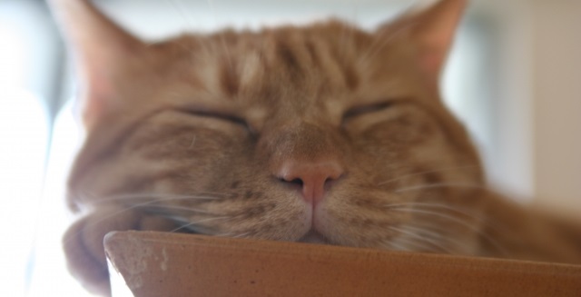 男性は思っている以上に無頓着